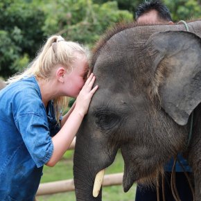 Full Day visit and Support at Eco Elephant Care