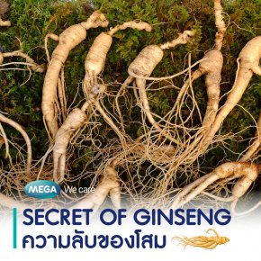 Ginseng Secrets You Need to Know.