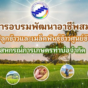 ข่าวประชาสัมพันธ์ สหกรณ์การเกษตรท่าบ่อ จำกัด ประจำปี 2568