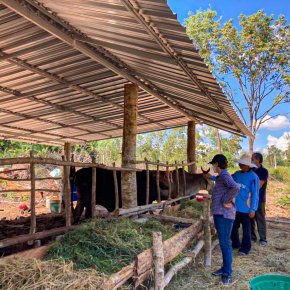 สหกรณ์การเกษตรท่าบ่อ จำกัด ลงพื้นที่กำกับดูแลสมาชิกตามโครงการส่งเสริมสมาชิกเลี้ยงวัว/เลี้ยงควาย