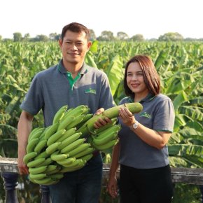 " King Fruit " เทรนด์ผลไม้ไทยตลาดโลกต้องการสูง