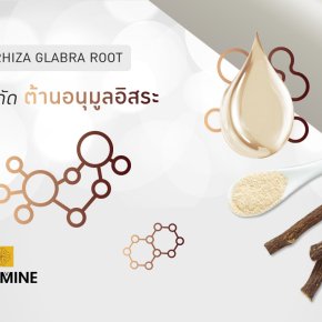 Glycyrrhiza glabra root extract 