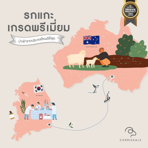 รกแกะเกรดพรีเมี่ยม นำเข้าจากประเทศไหนดีที่สุด