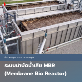 ระบบบำบัดน้ำเสีย MBR (Membrane Bio Reactor)