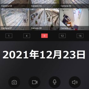 2021年12月23日　4ライ農園の状況