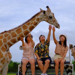 Kanchanaburi Safari Park & Giraffe Feeding