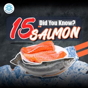 ปลาแซลมอน แซลมอน salmon ขายส่ง ขายปลีก bigfridgeboy