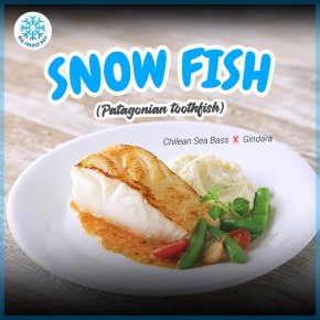 ปลาหิมะ Snow Fish ขายปลีก ขายส่ง Bigfridgeboy