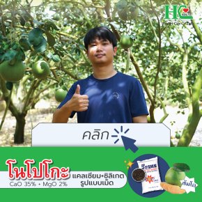 ส้มโอหวาน ผลสวย ลดอาการผลแตกยางไหล ด้วยโนโปะโกะ EP. 1