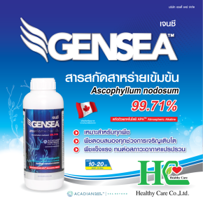 เจนซี สารสกัดสาหร่าย Ascophyllum nodosum 99.71%