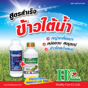 เจนซี + แอคชั่น กำจัดหญ้าในนาข้าว นาหว่านน้ำตม