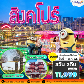 เที่ยวสิงคโปร์ 3 วัน 2 คืน บิน Scoot เริ่มต้น 11,999 บาท