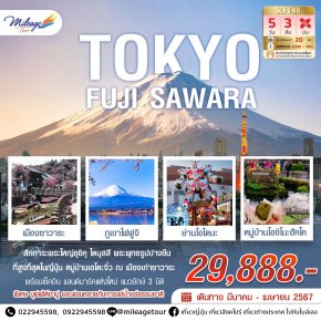 TOKYO FUJI SAWARA ซุปตาร์ โตเกียวซากุระ ดอกใหญ่ไล่ดอกเล็ก เดินทางเดือนมีนาคม - เดือนเมษายน 2567 ราคาเริ่มต้น 29888.-5 วัน 3 คืน โดยสายการบิน AIR ASIA X