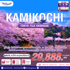 TOKYO FUJI KAWAGOE KAMIKOCHI ซุปตาร์คามิโกจิ และทุ่งดอกไม้หลากสี เดินทางด้วยสายการบิน AIR ASIA X 6  วัน 4 คืน เดินทาง พฤษภาคม ถึง ตุลาคม 2567 ราคาเริ่มต้น THB 29888.-