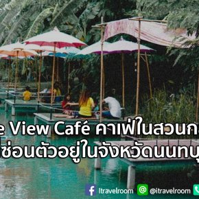 Coffee View Café คาเฟ่ในสวนกล้วยไม้ที่ซ่อนตัวอยู่ในจังหวัดนนทบุรี