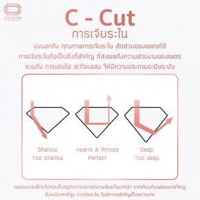 C Cut