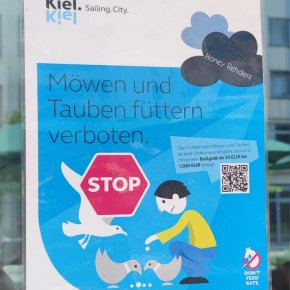 Möwen und Tauben füttern verboten  ห้ามให้อาหาร นก 