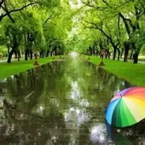 淋雨之后如何不生病？ 陈宝真中医师讲解十个自救妙方！