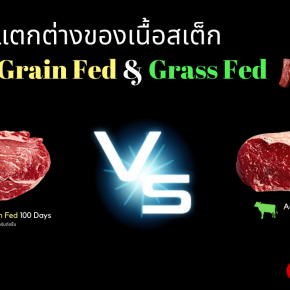 Grass Fed VS Grain Fed