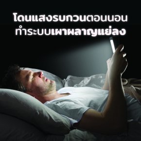 งานวิจัยพบ… โดนแสงรบกวนตอนนอน ทำระบบเผาผลาญแย่ลง!