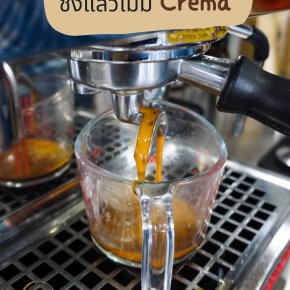 4 วิธีแก้ปัญหา ทำไมชงกาแฟแล้วไม่มีCrema