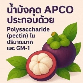 ปก น้ำมังคุด APCO by bimsabuy