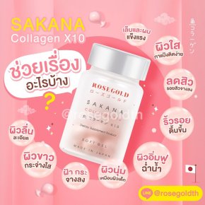sakana ช่วยเรื่องอะไรบ้าง