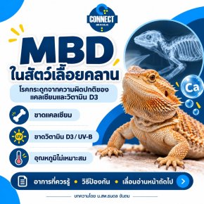 Metabolic Bone Disease (MBD)