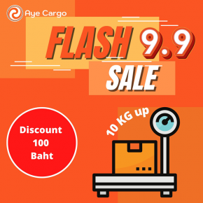 Flash Sale 9.9