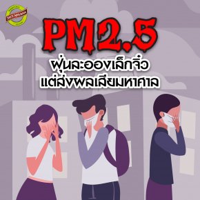 PM 2.5 ฝุ่นละอองเล็กจิ๋ว แต่ส่งผลเสีย (ต่อสุขภาพ) มหาศาล