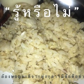 ข้าวกล้องหอมมะลิปลอดสาร จากทุ่งกุลาร้องไห้