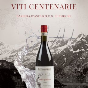 100 Years VITI CENTENARIE BARBERA D’ASTI D.O.C.G. SUPERIORE