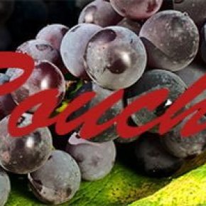 Ruche, a rare grape variety that costs as good as a wine that costs ten thousand.