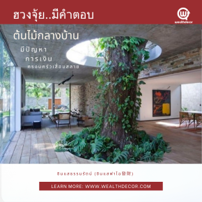  feng_shui_64_gua_ต้นไม้ตัดสวรรค์_ต้นไม้กลางบ้าน