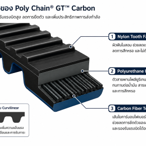 Poly Chain® GT  คืออะไร | ข้อดี การใช้งาน และเปรียบเทียบกับโซ่ Roller Chain