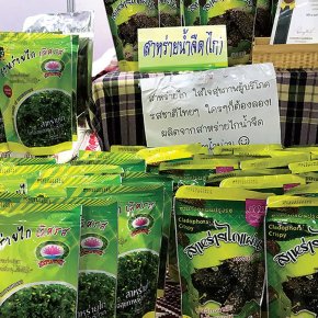 แอ่วเมืองน่านไปชิมสาหร่ายไก รสชาติความอุดมสมบูรณ์ของลำน้ำน่านบ้านเฮา