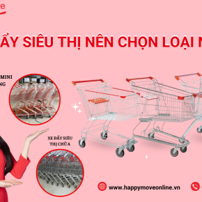 Cách chọn xe đẩy mua sắm phù hợp cho nhu cầu của bạn ?