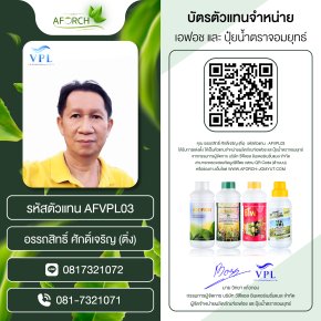 AFVPL03