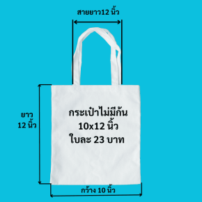 nobottombagbig