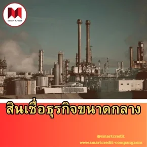 สินเชื่อธุรกิจขนาดกลาง (Mediumsized Business Loan)