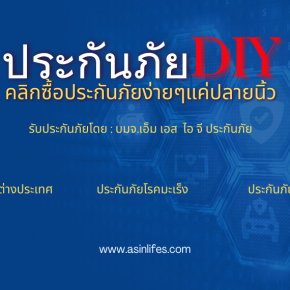 ประกันภัย DIY - รับประกันโดย บมจ.เอ็ม เอส ไอ จี ประกันภัย