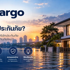 Embargo คืออะไรในธุรกิจประกันภั
