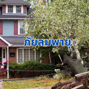 ภัยลมพายุ