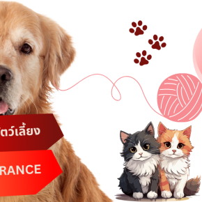 ประกันภัยสัตว์เลี้ยง Jmart  Pet Insurance