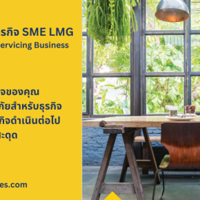 ประกันภัย LMG SME Value for Servicing Business