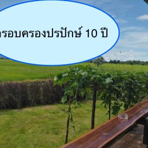 เมื่อมีการรุกล้ำที่ดินใครมีสิทธิดีกว่ากันอย่างไร