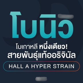 โบนิว ดีไหม? อยู่ได้นานไหม?