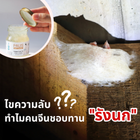 ทำไมคนจีนชอบทานรังนก? ไขความลับสุดทึ่งกับ "พอสรังนก"