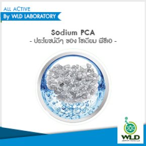 Sodium PCA