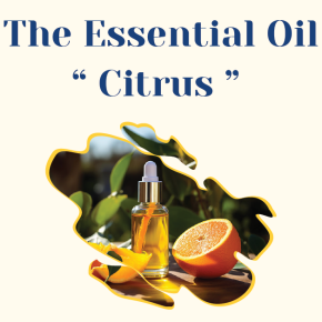 The Essential Oil - Citrus Family